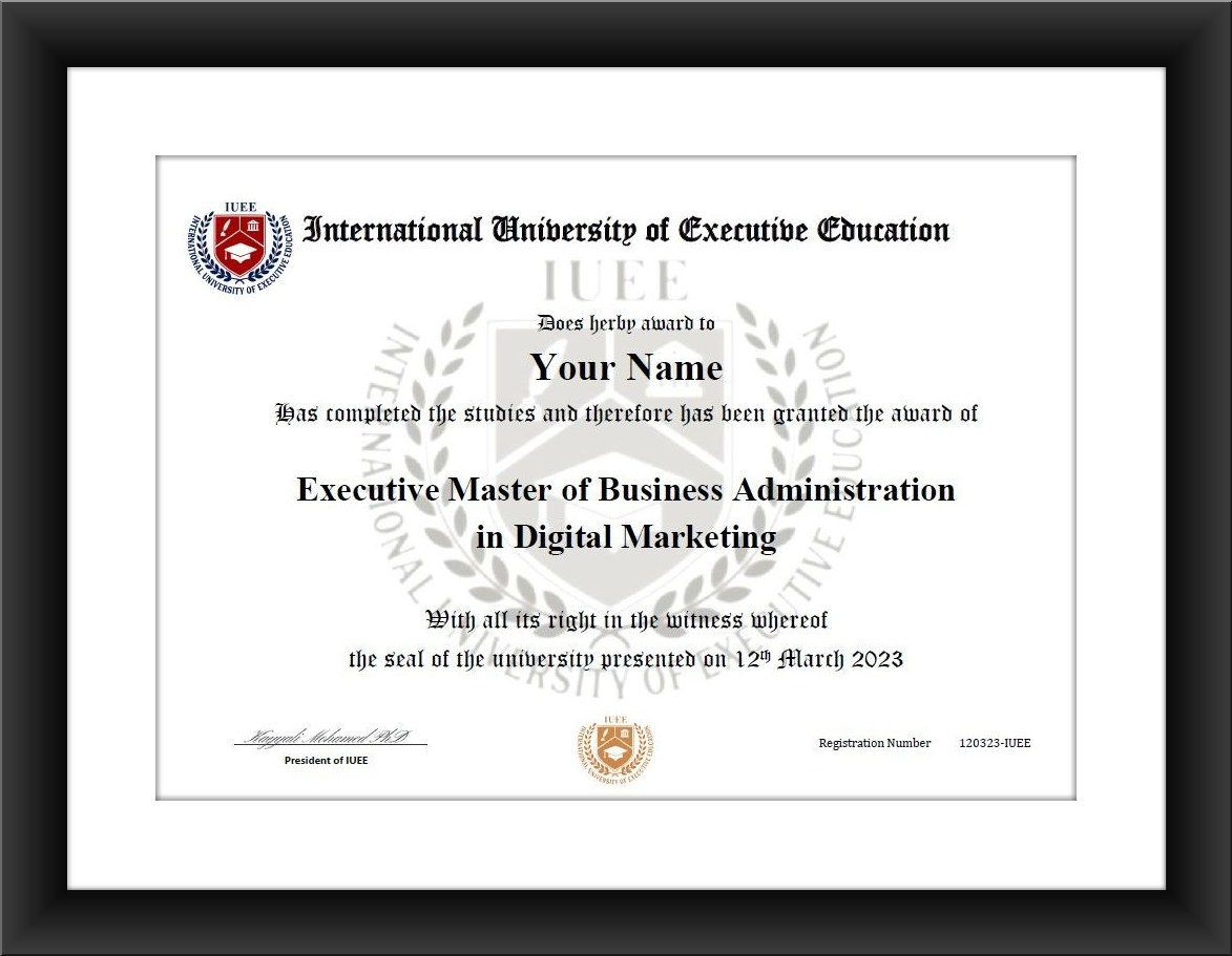 Executive MBA in Digital Marketing IUEE University